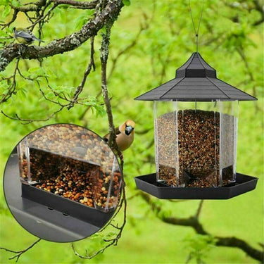 mangeoire oiseaux pour arbre
